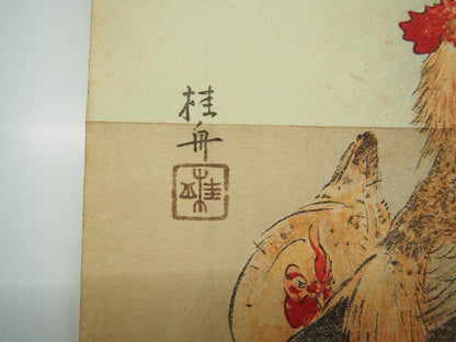 Image #5