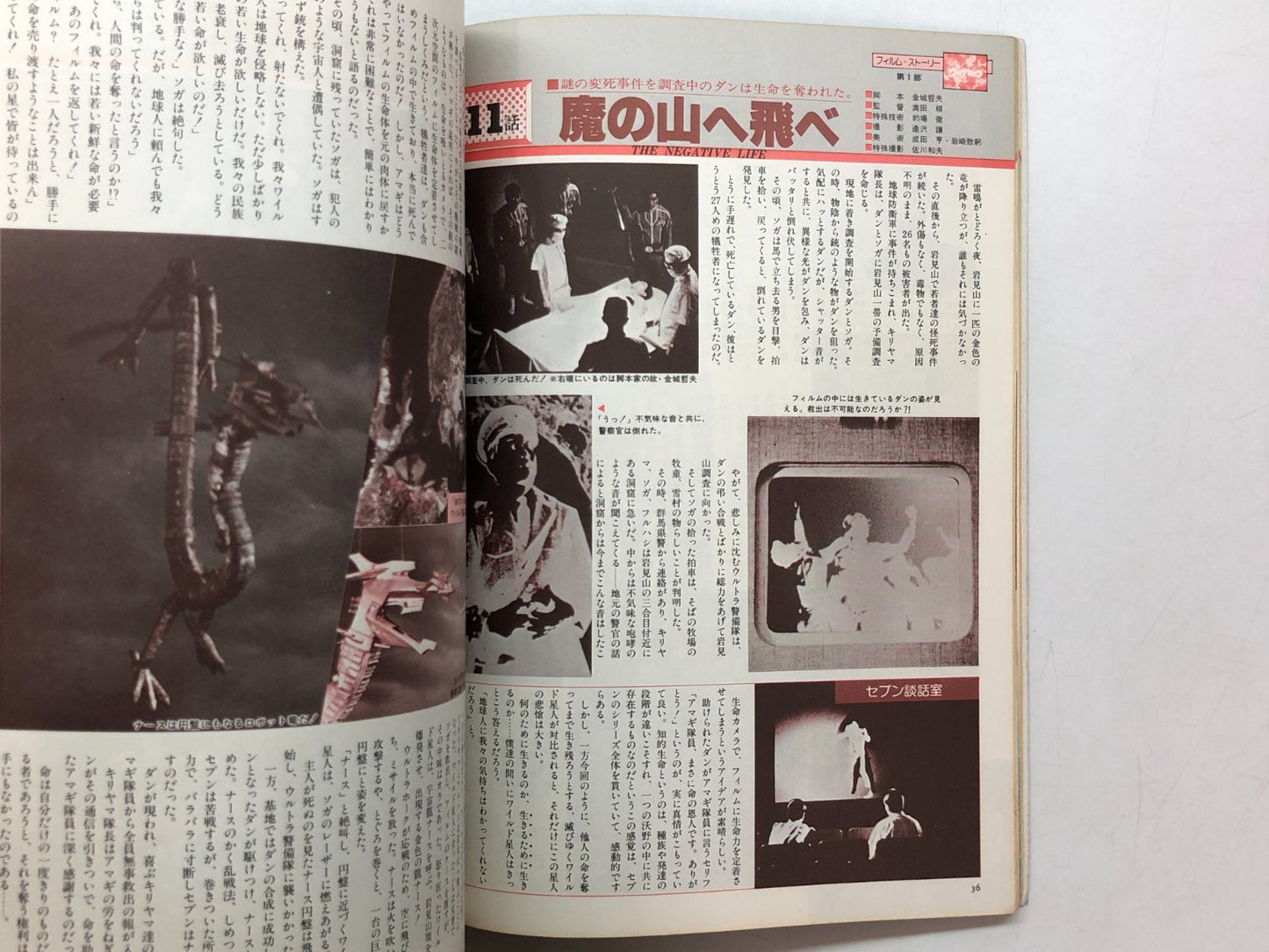 Image #6