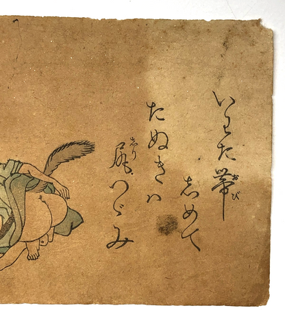 Image #12