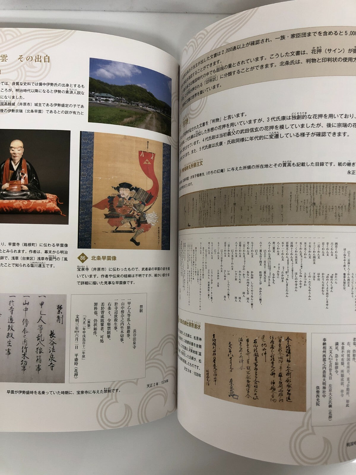Image #5