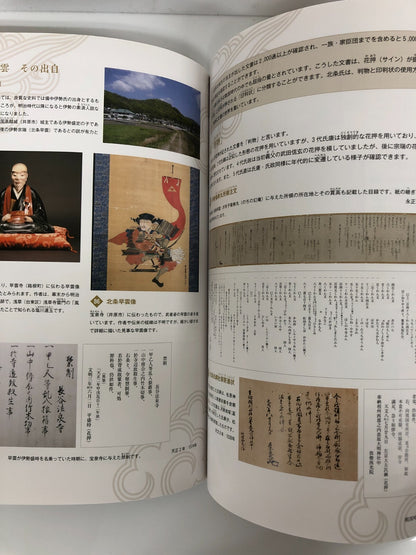 Image #5