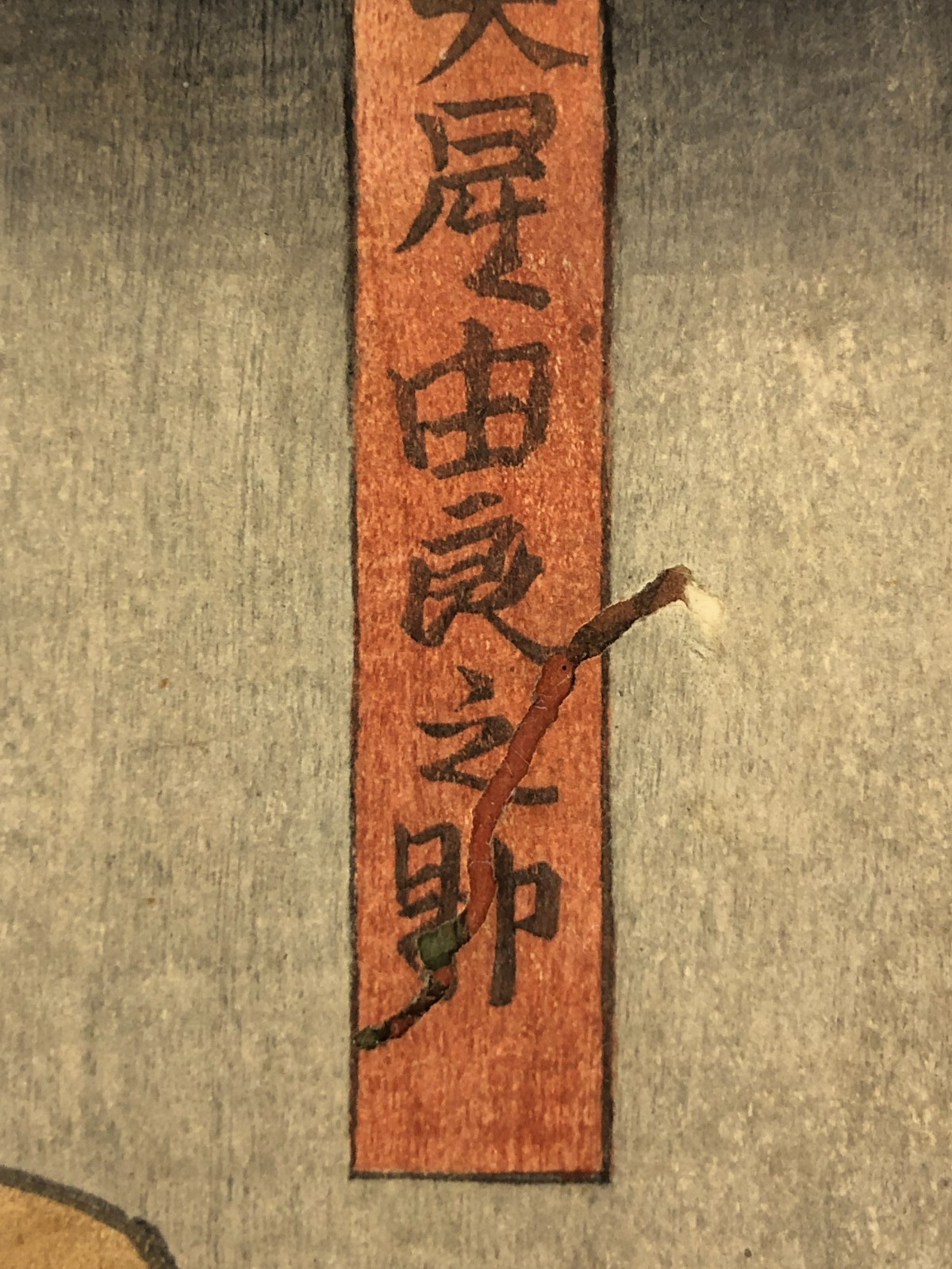 Image #12