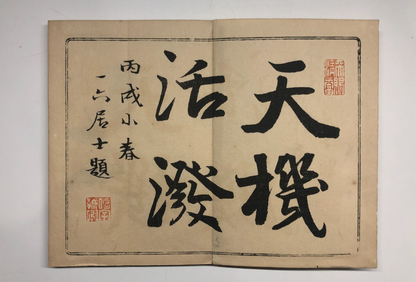 Image #5
