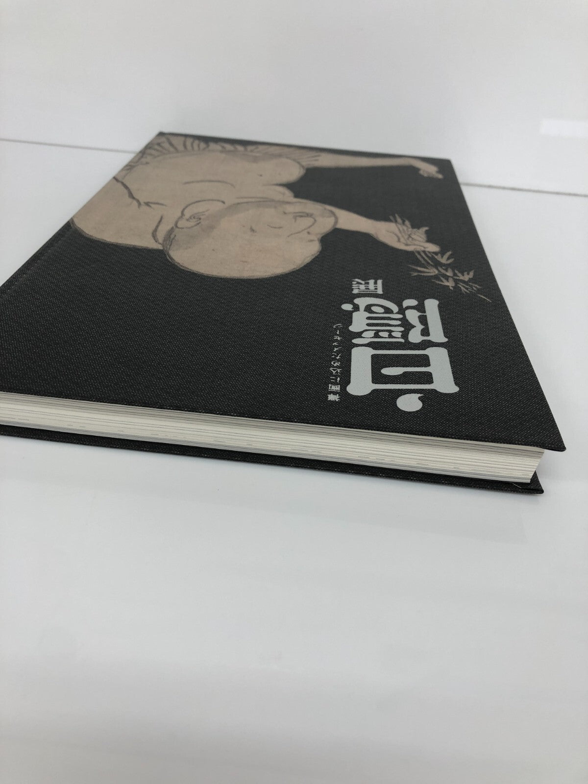 Image #2