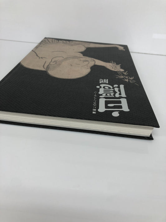 Image #2
