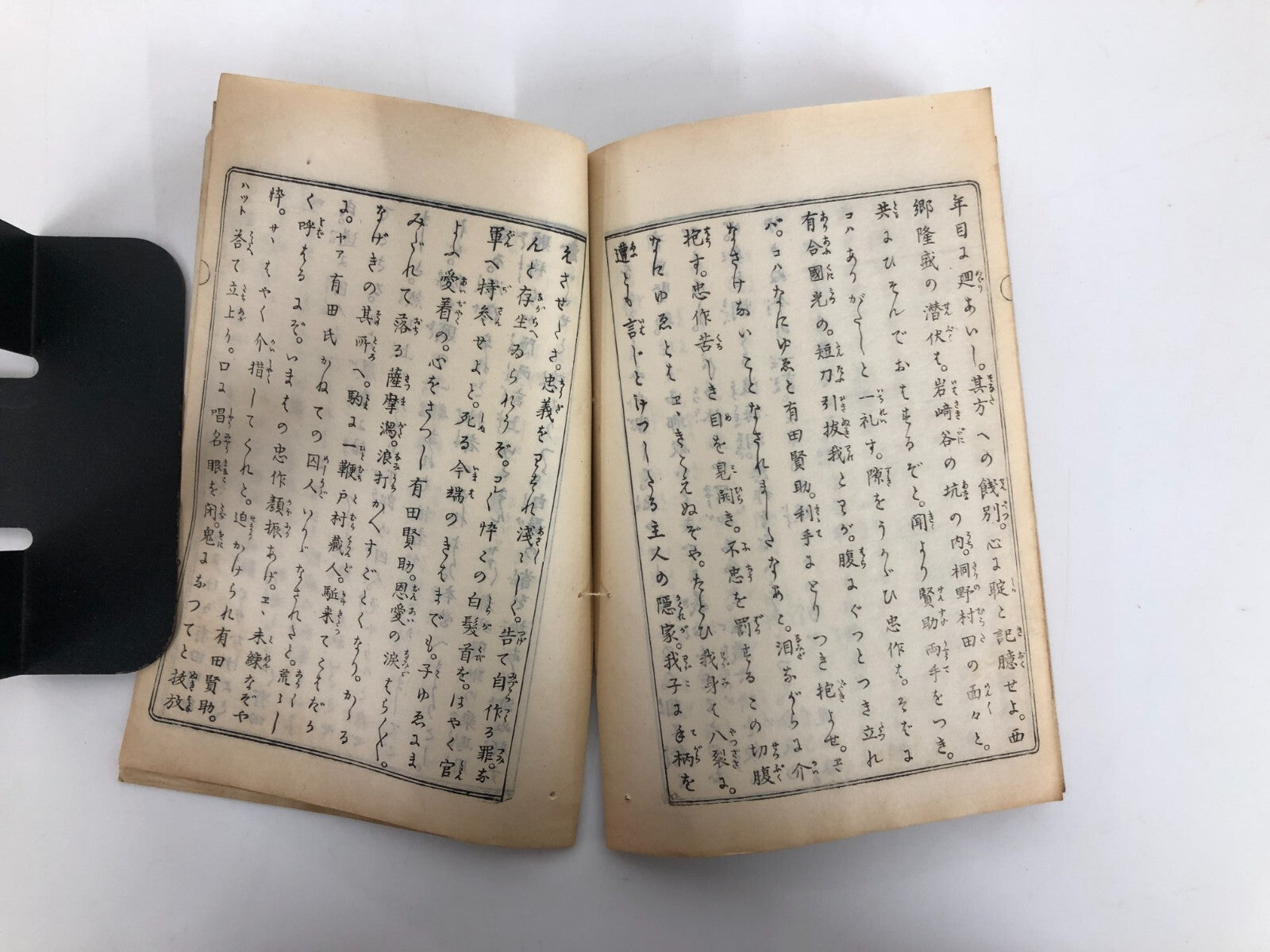 Image #5