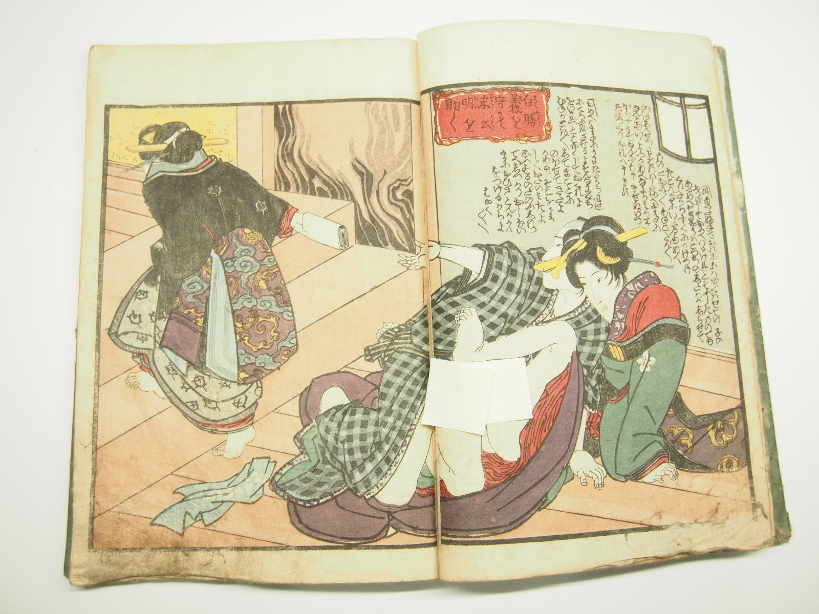 Image #8