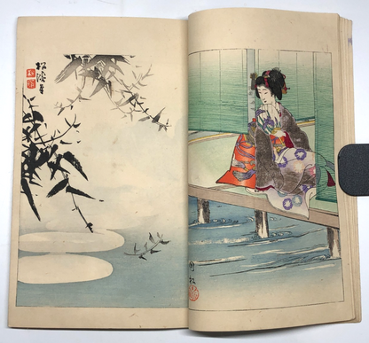 Image #12