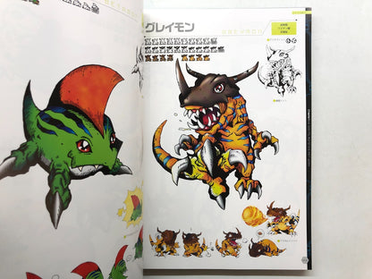 Image #6