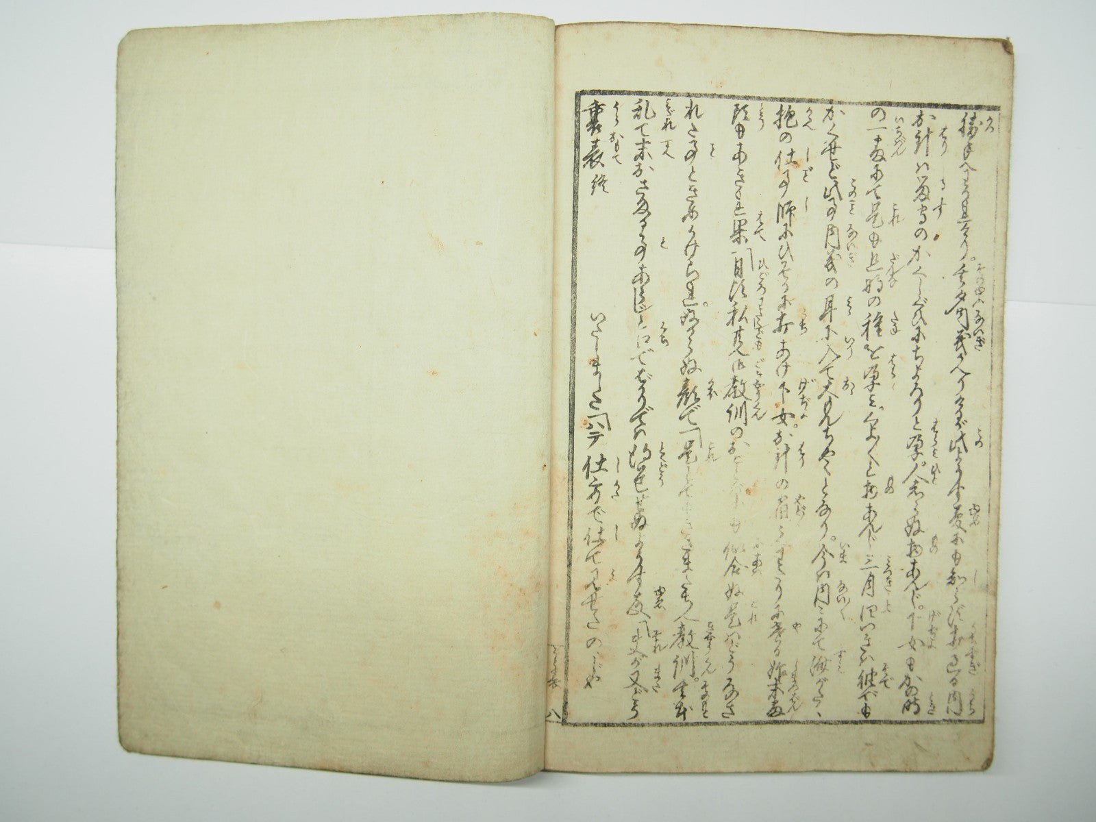 Image #12