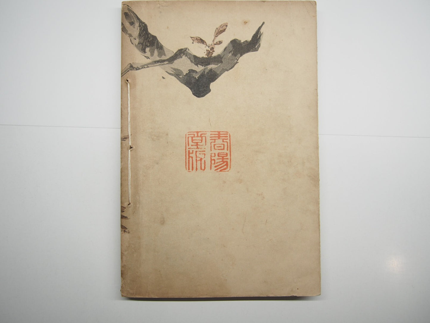 Image #8
