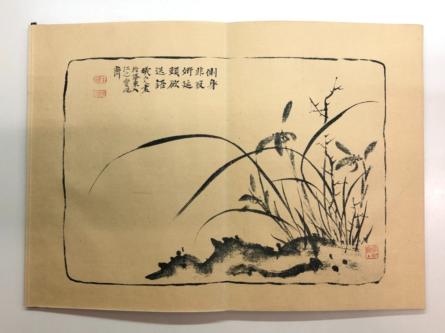 Image #11