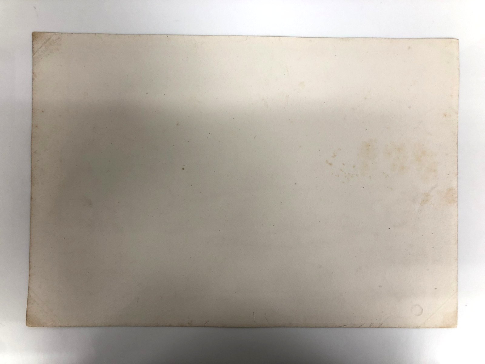 Image #10