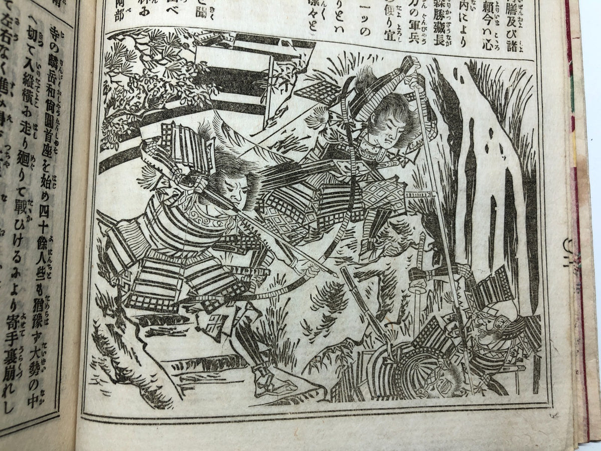Image #3