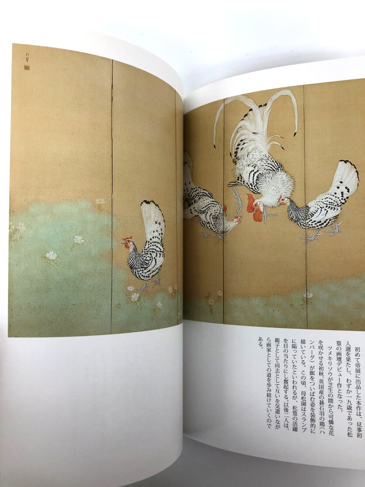 Image #3