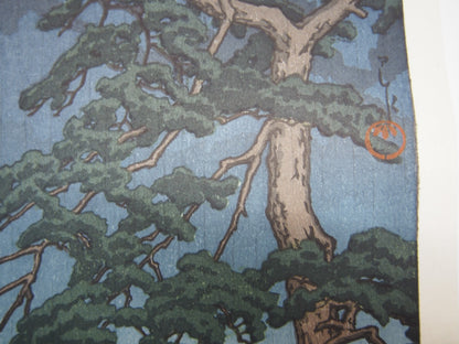 Image #5