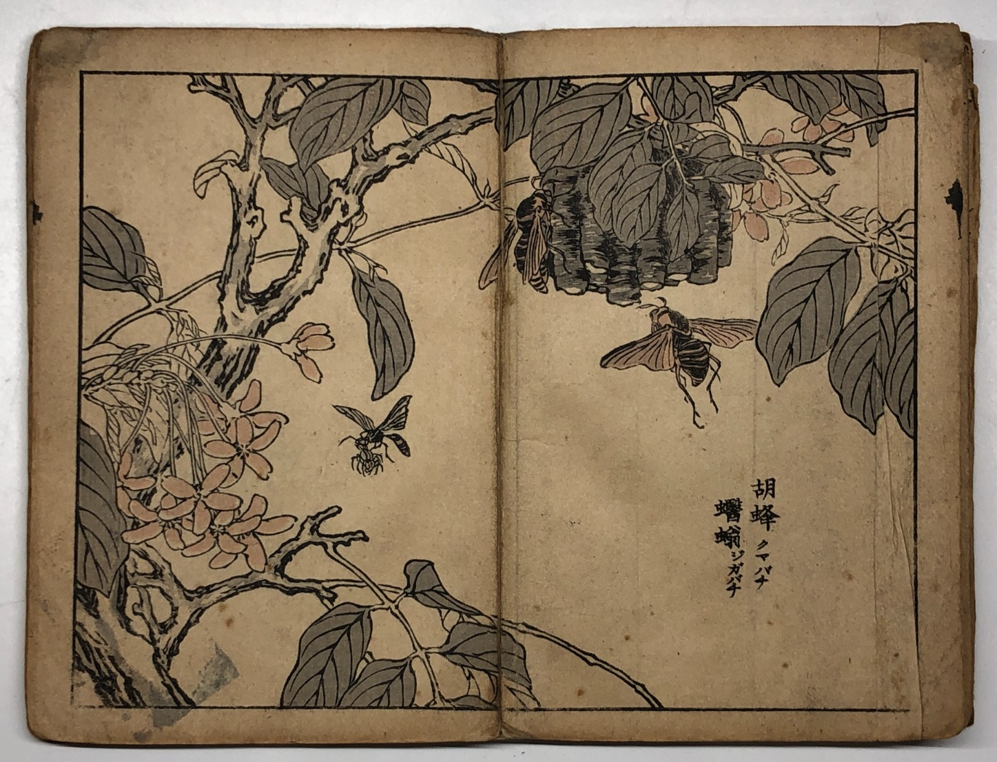 Image #11