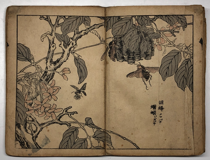 Image #11