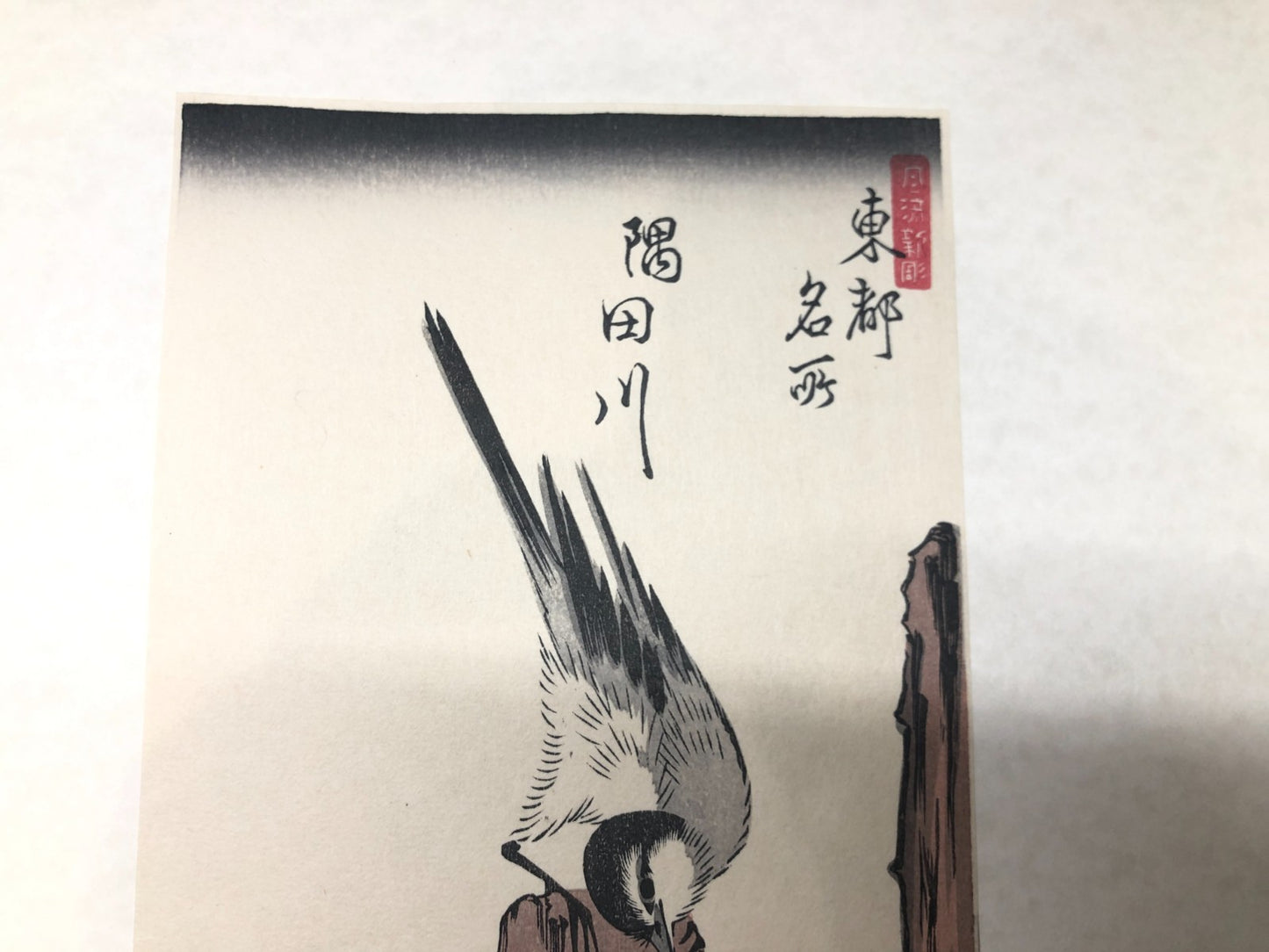 Image #7
