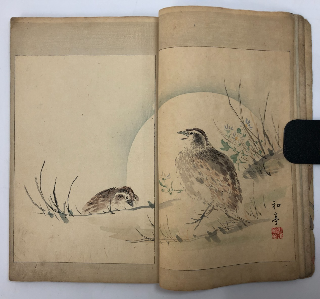 Image #8