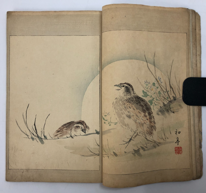 Image #8