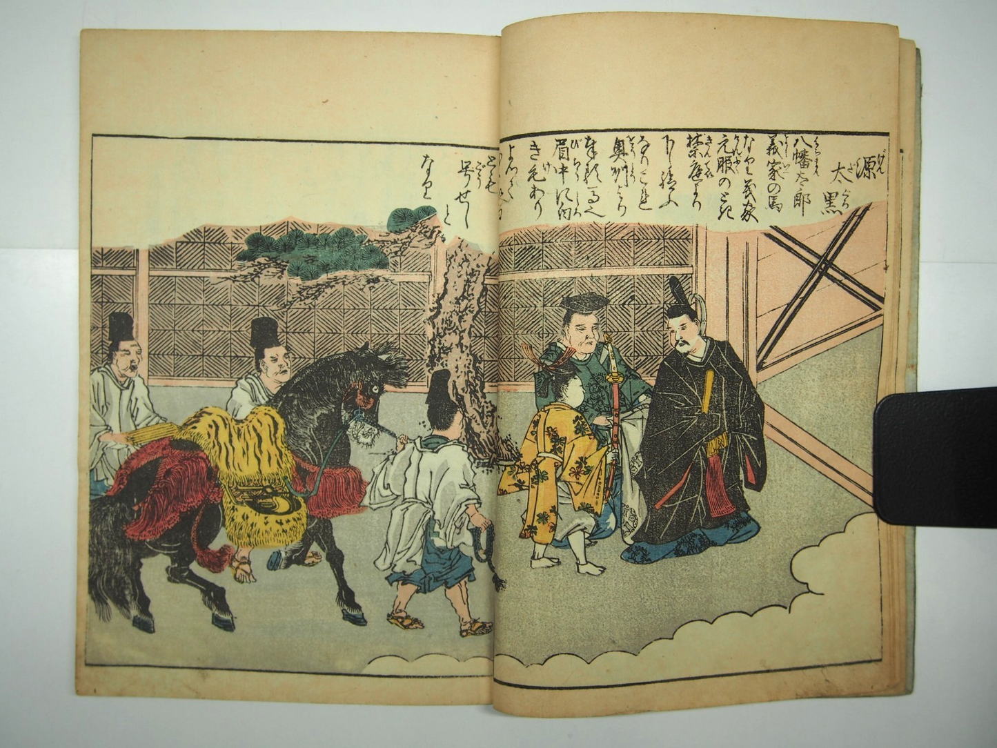 Image #8