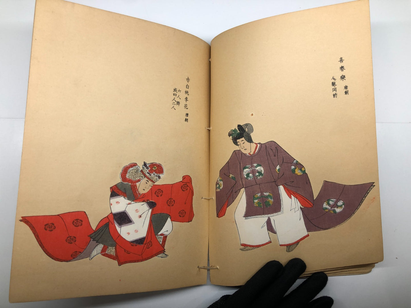 Image #12