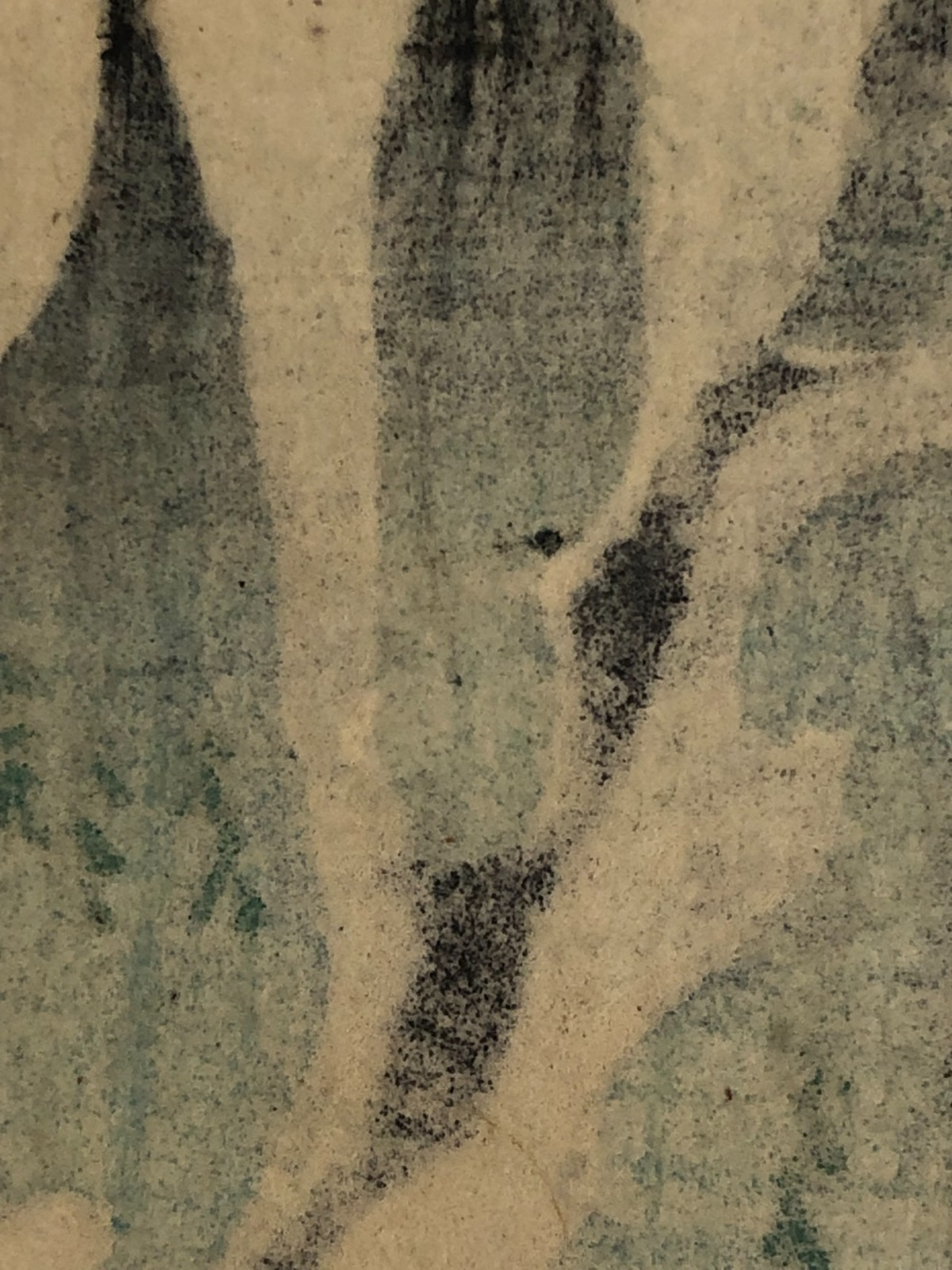 Image #15