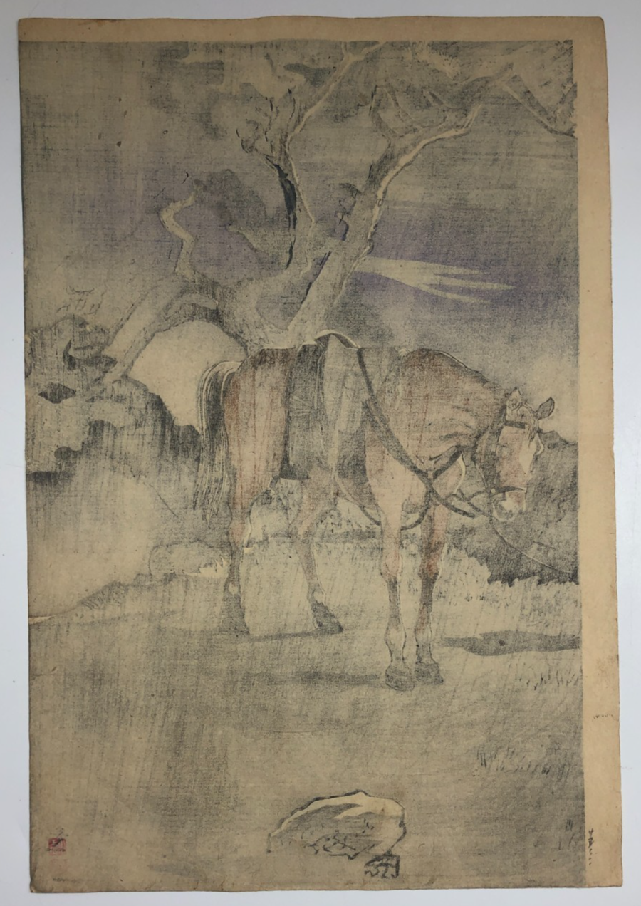 Image #5