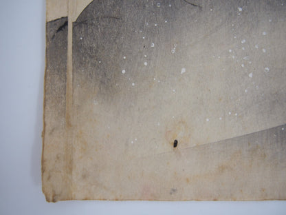 Image #12