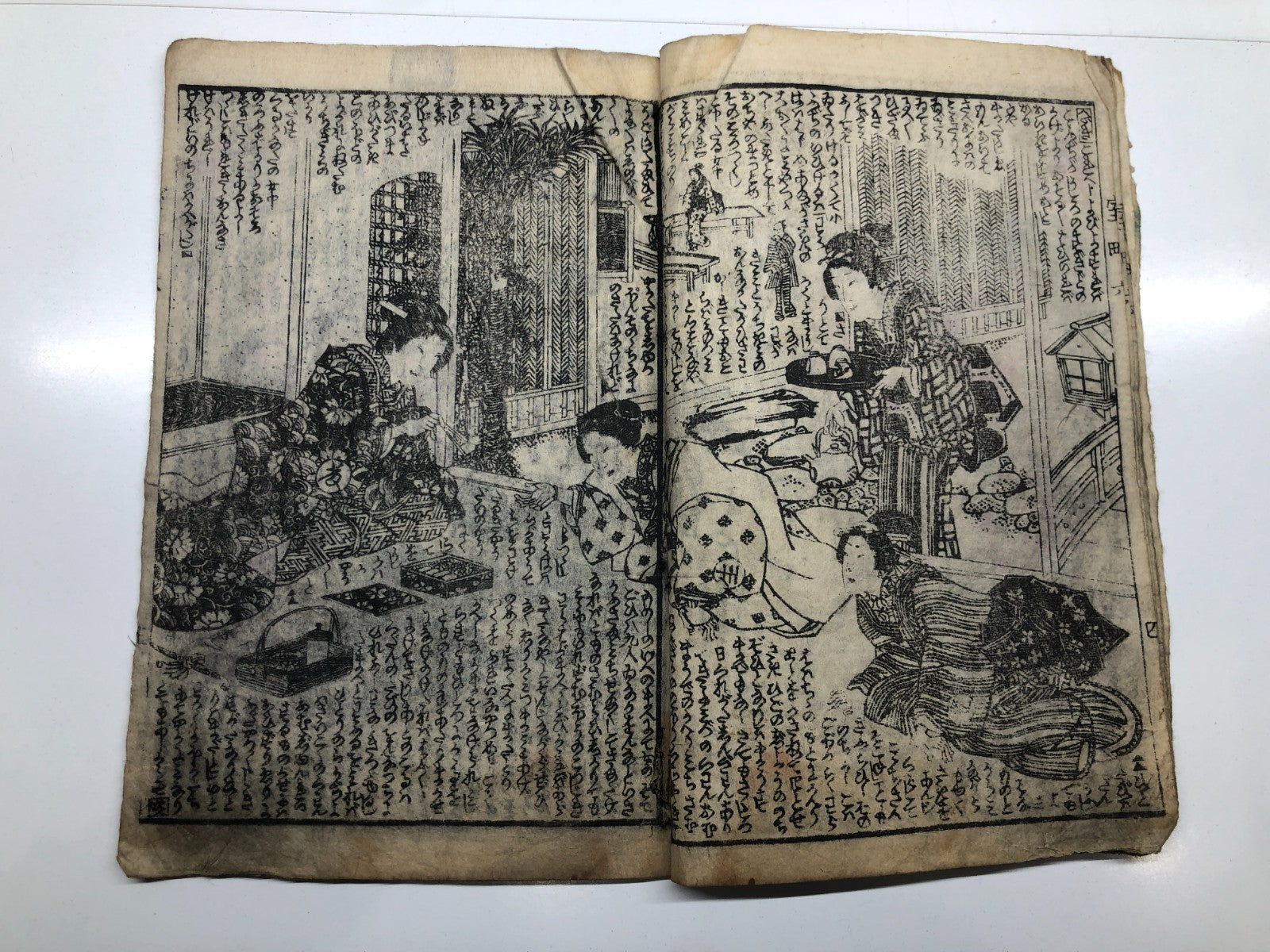 Image #12