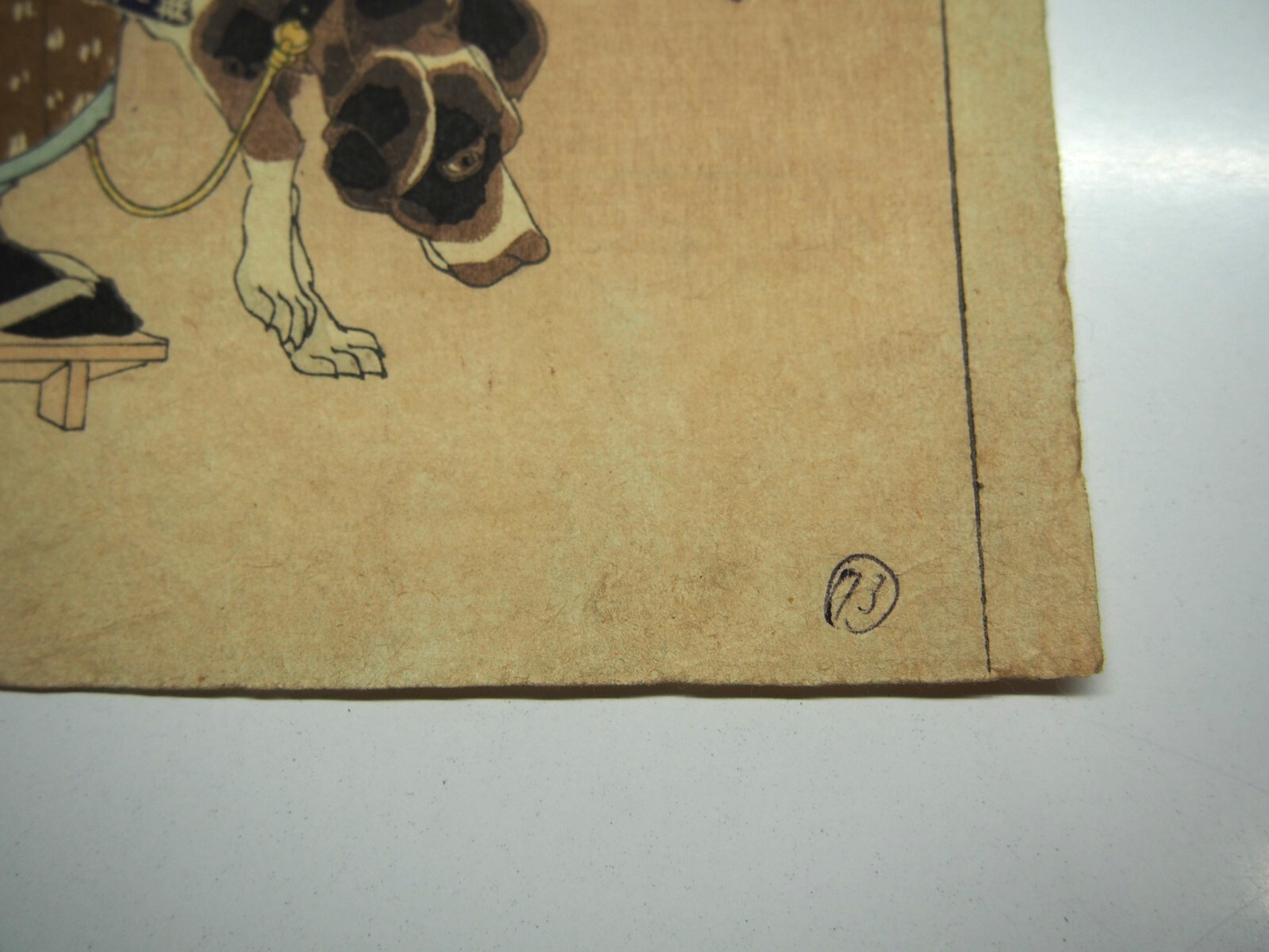 Image #7