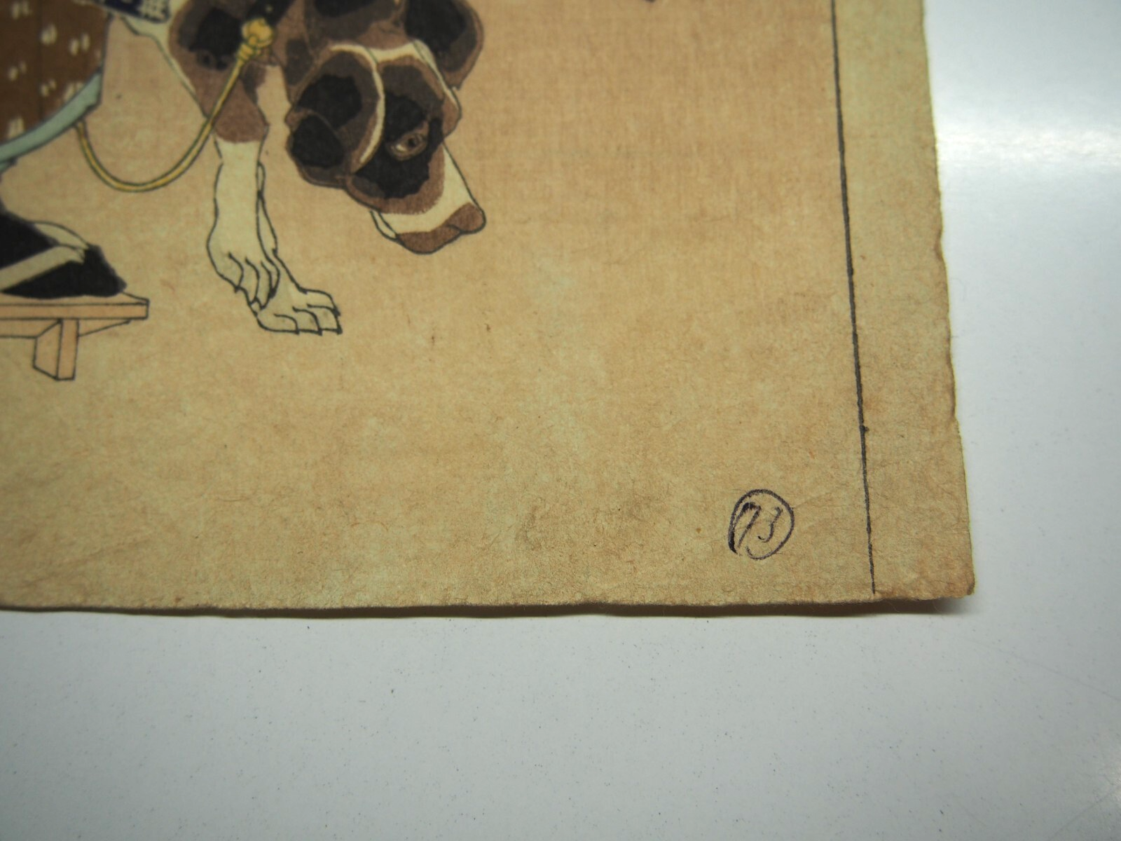 Image #7