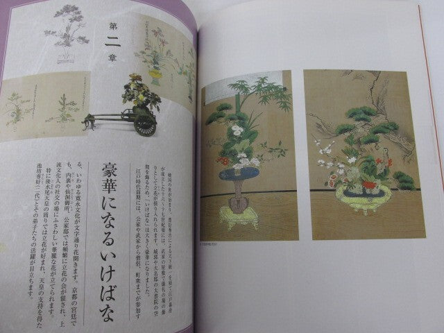 Image #5