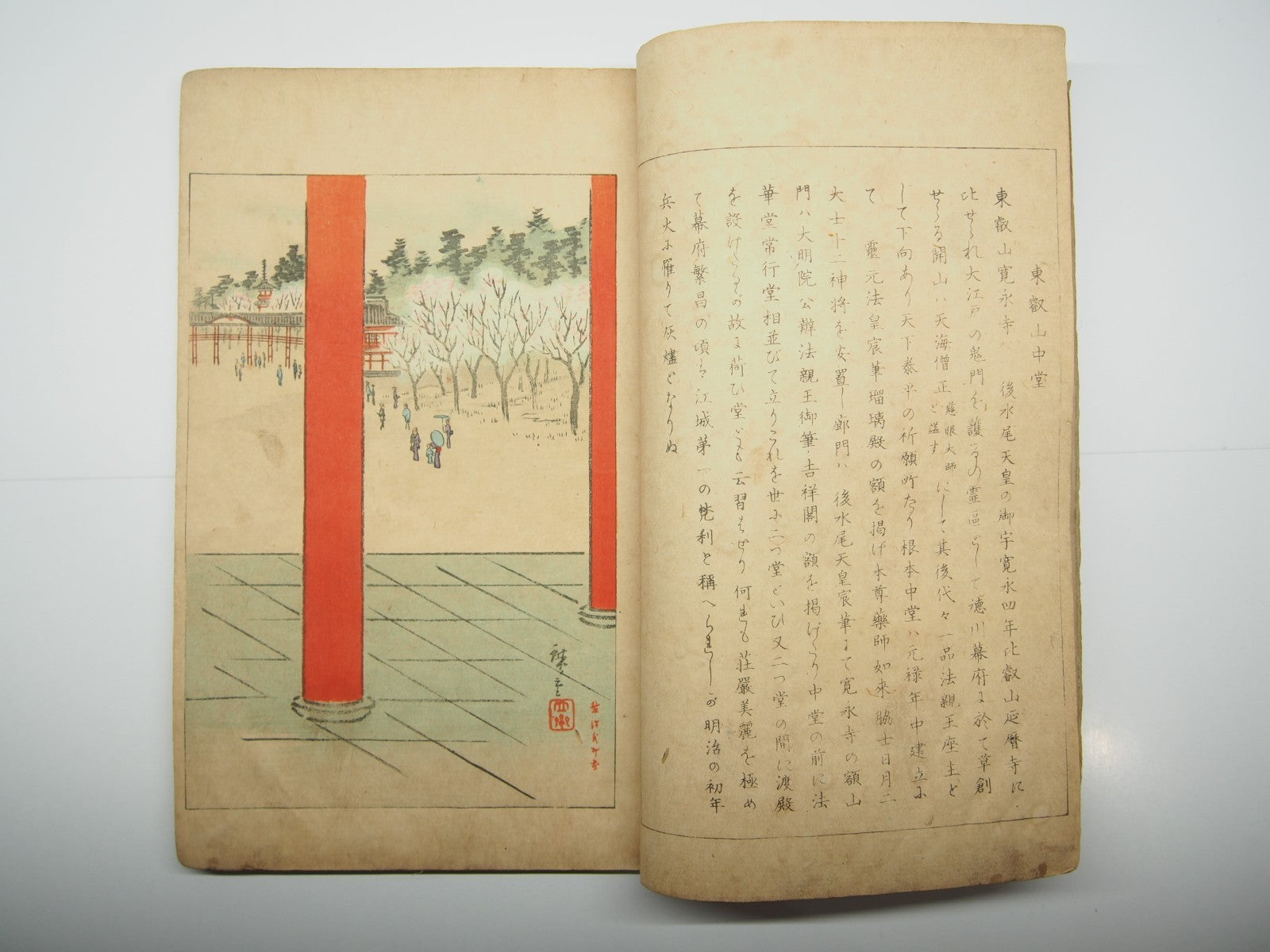 Image #8