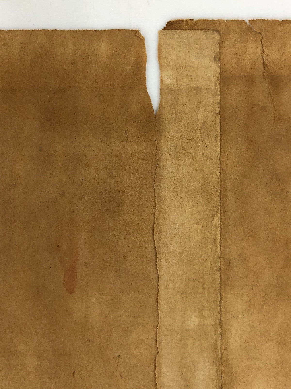 Image #17