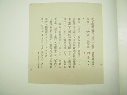 Image #14