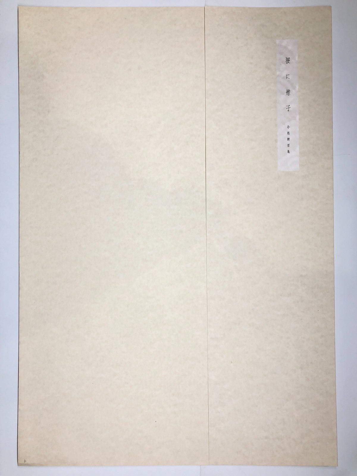 Image #3