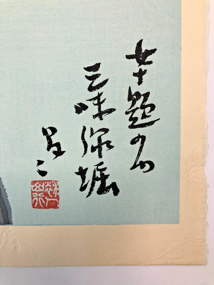 Image #8