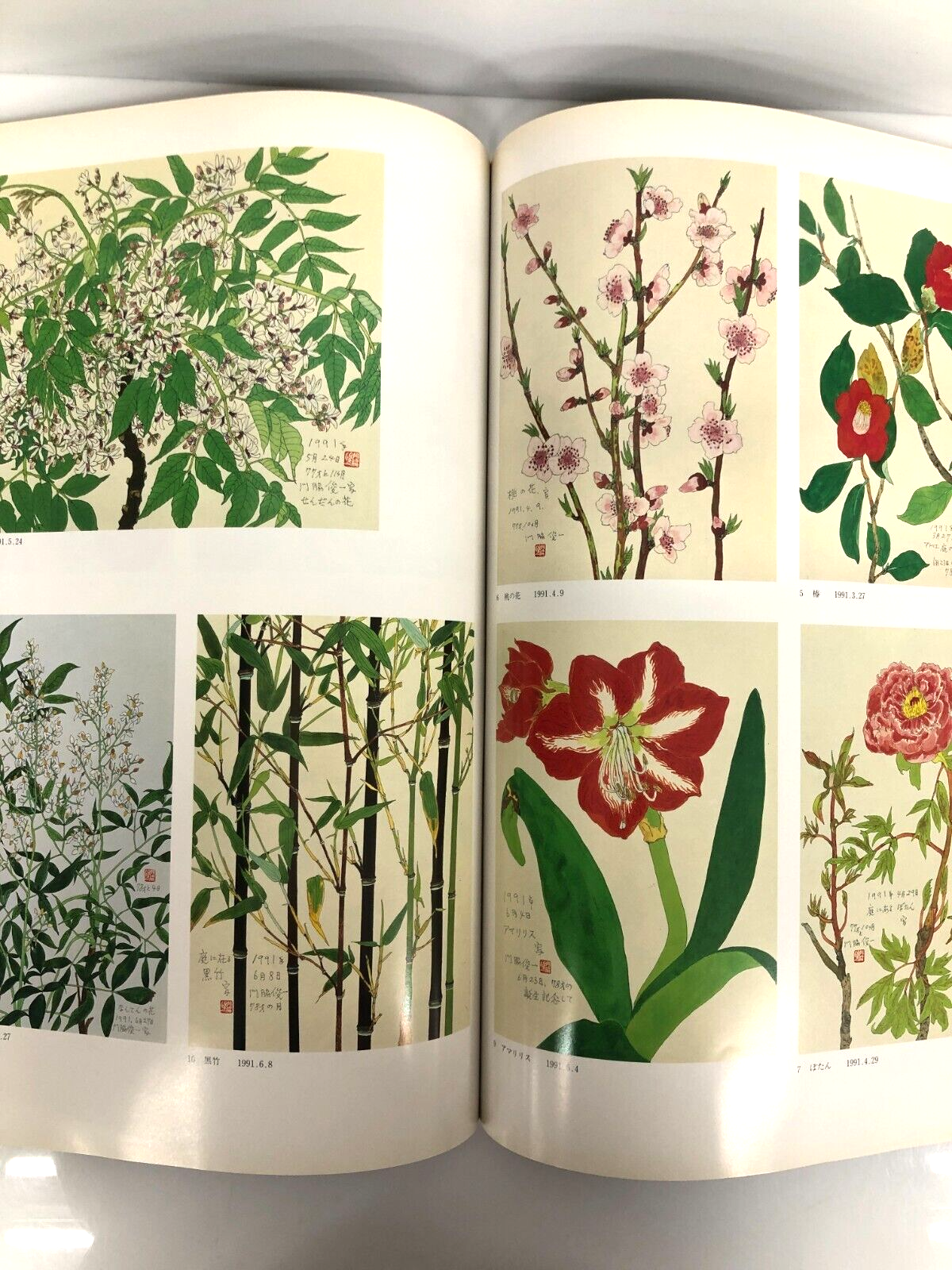 Image #5