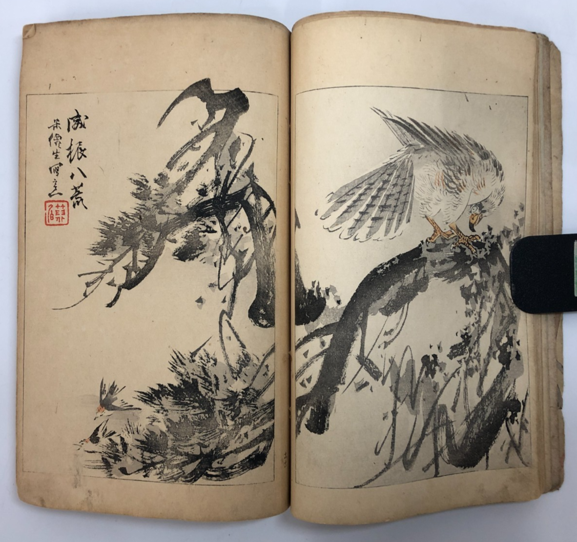 Image #15