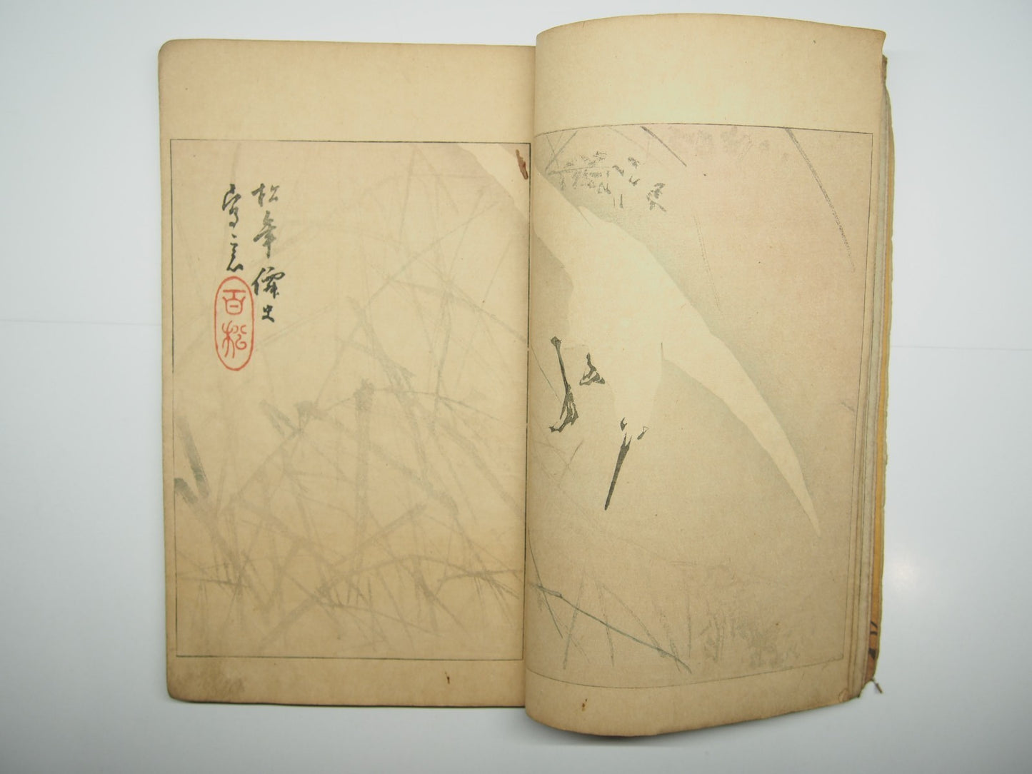 Image #7