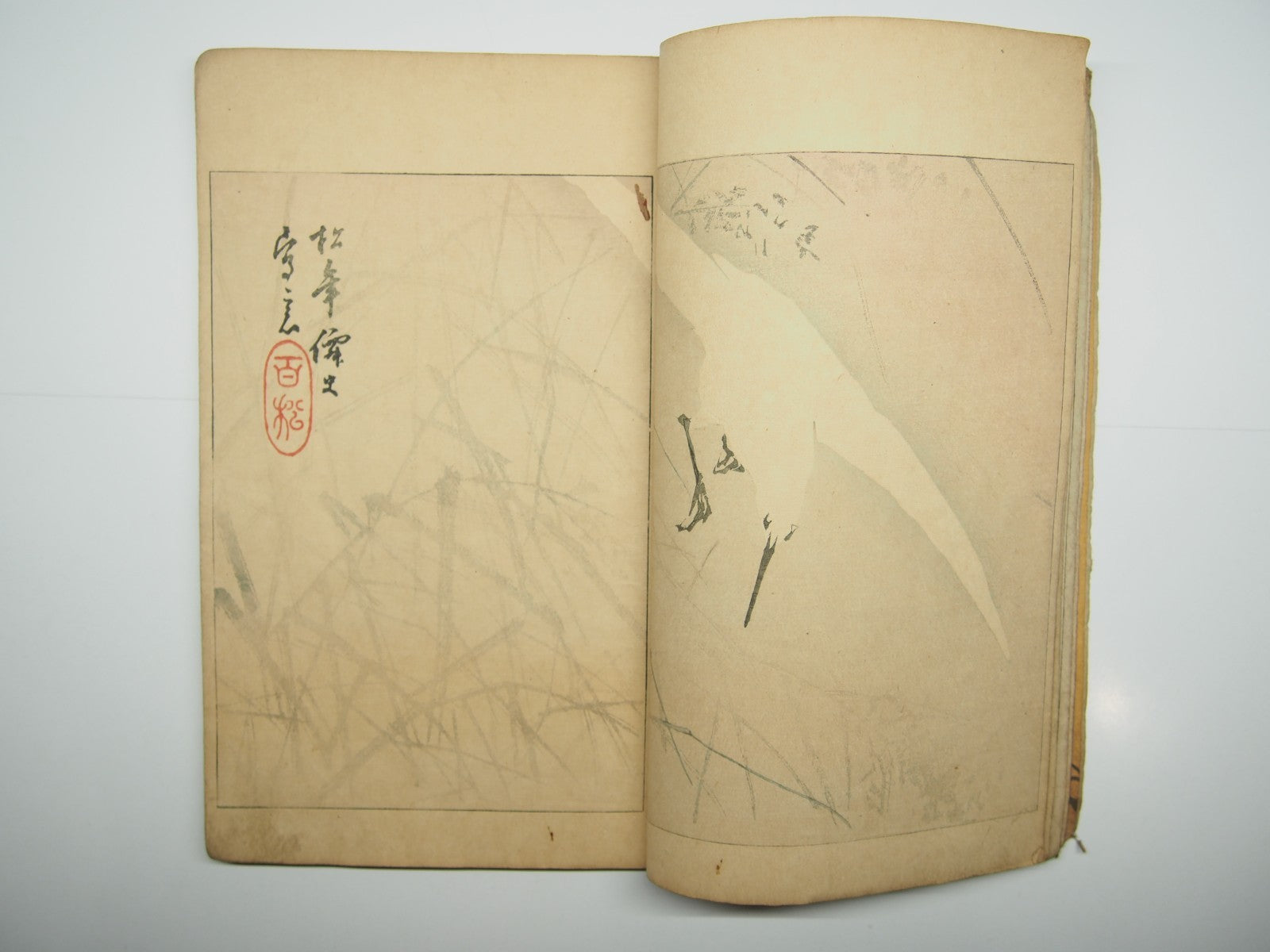 Image #7