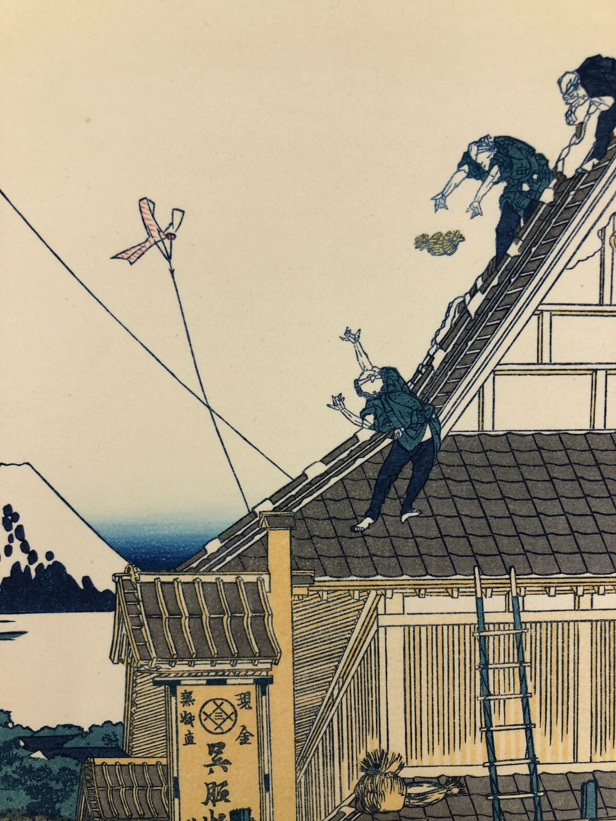 Image #5