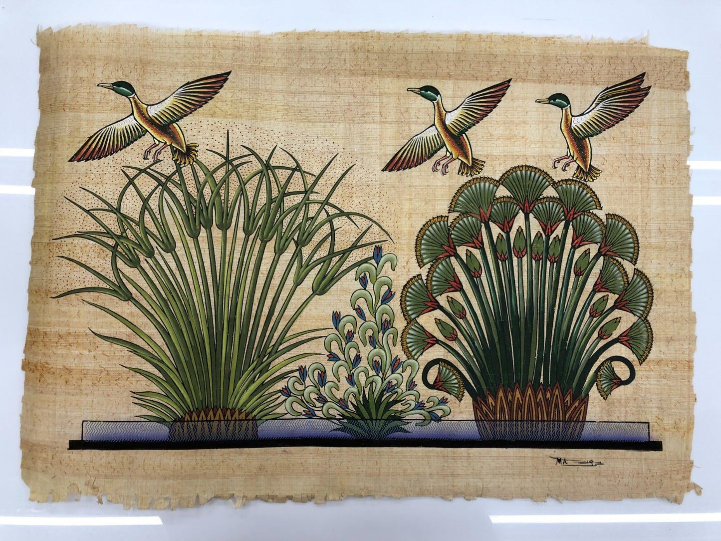 Image #10
