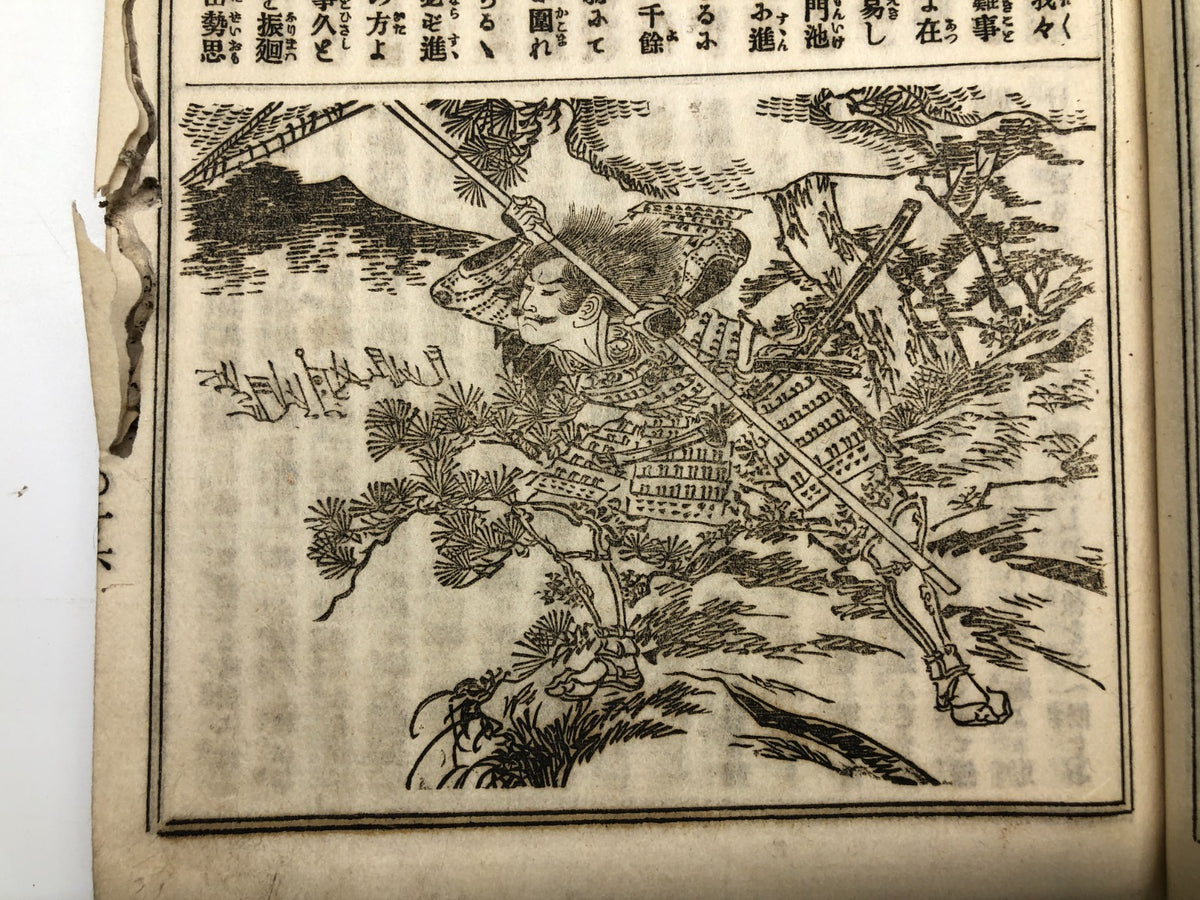 Image #6