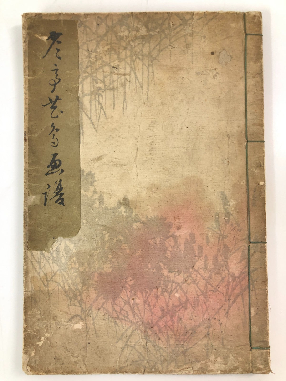 Image #2
