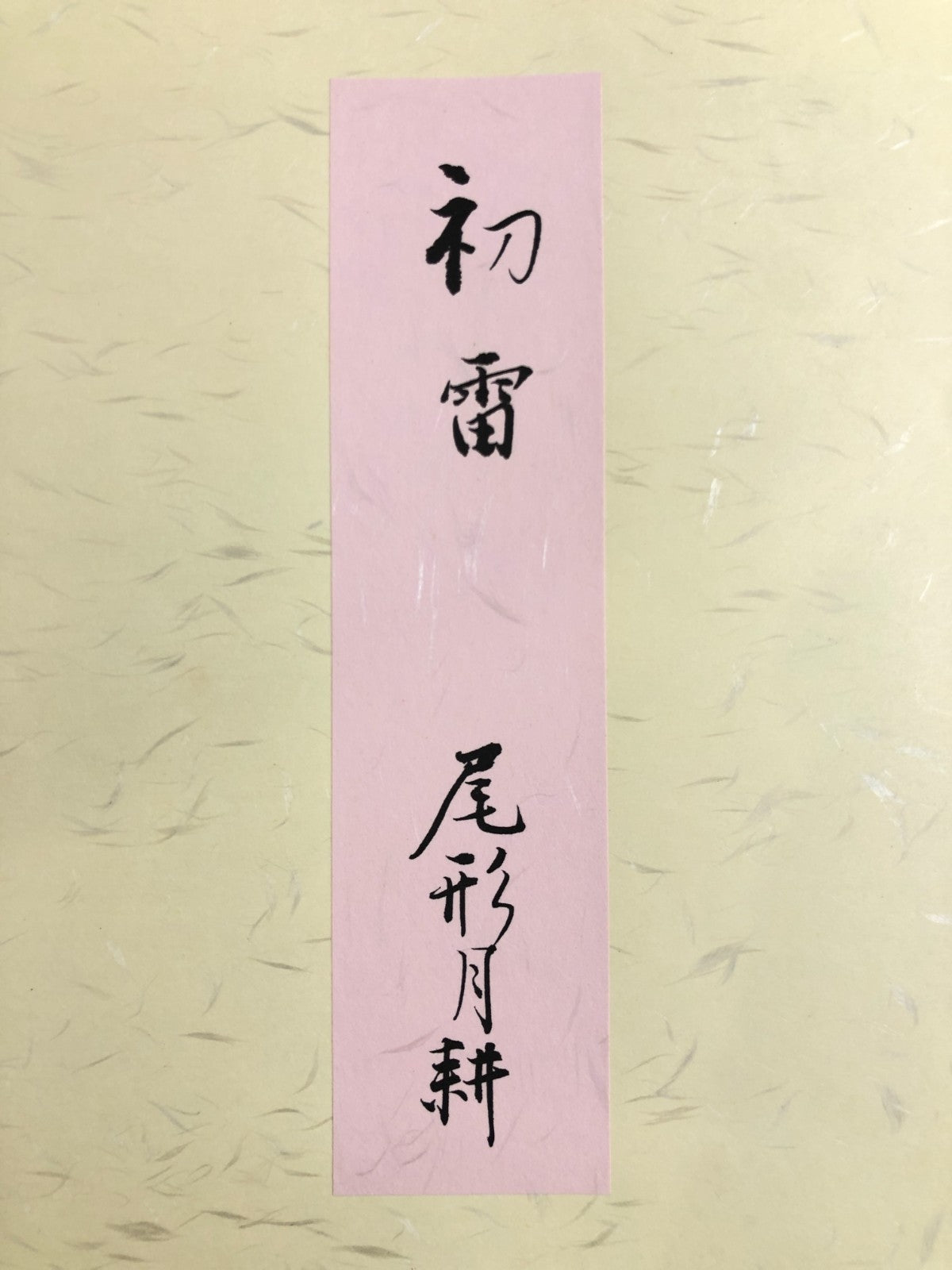 Image #3