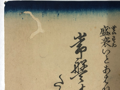 Image #12