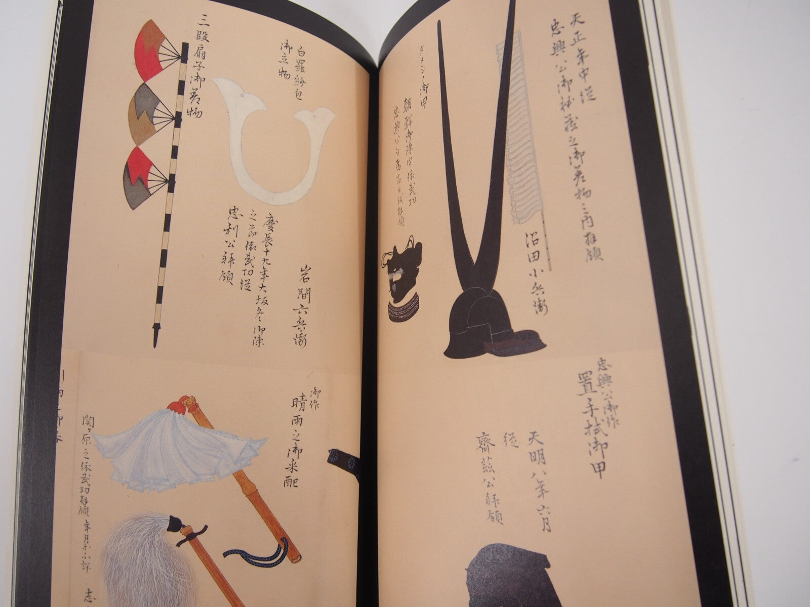 Image #5